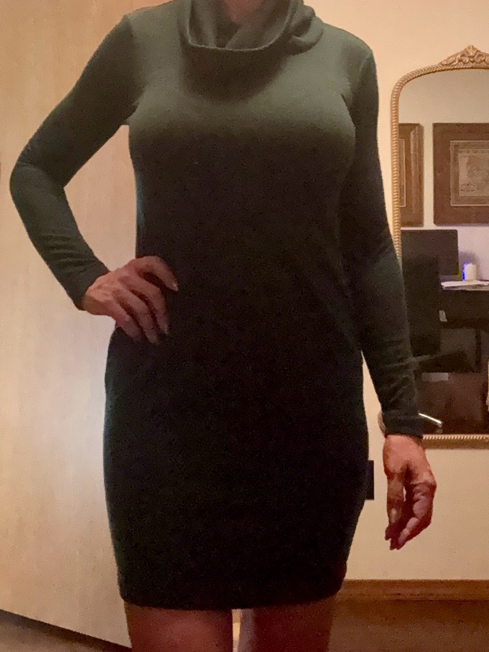 Old Navy Olive Green Long-Sleeve Cowl Neck Dress